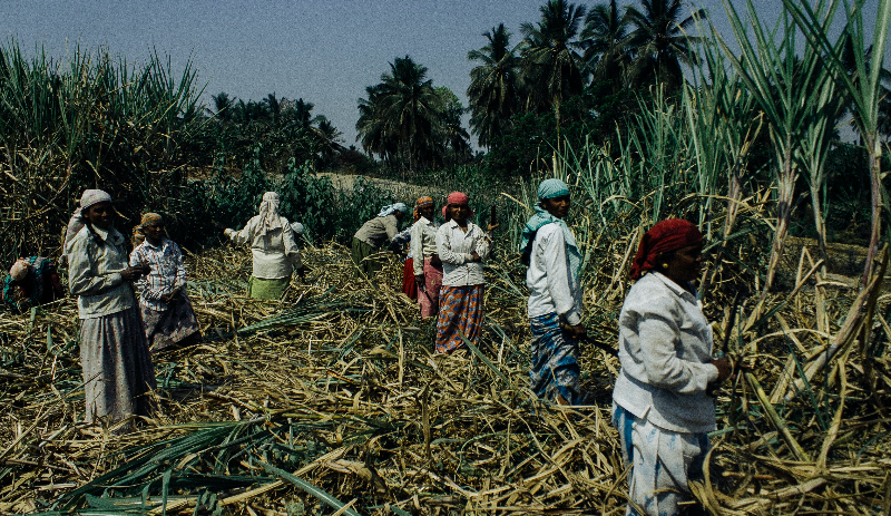 agritech-2