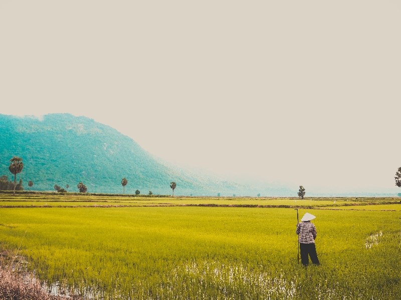 agritech